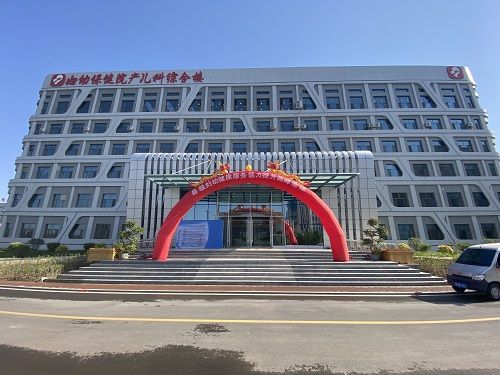 人體姿態(tài)檢測儀