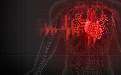 動(dòng)脈硬化檢測儀