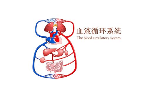 動脈硬化檢測儀