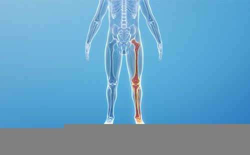 動脈硬化檢測儀