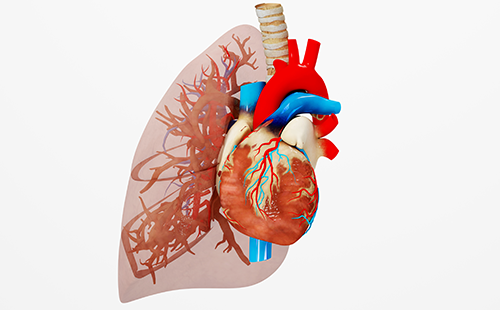 動(dòng)脈硬化檢測(cè)儀