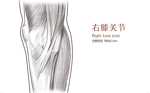 定制鞋墊