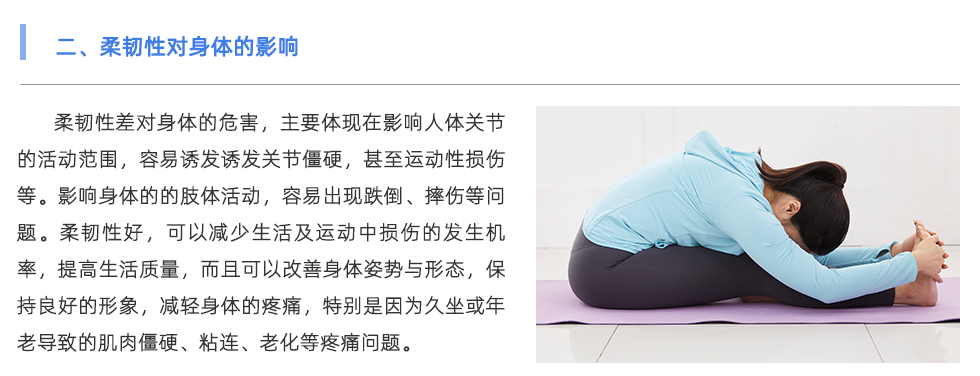 體能測(cè)試儀