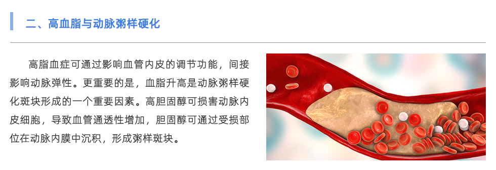 動脈硬化檢測儀