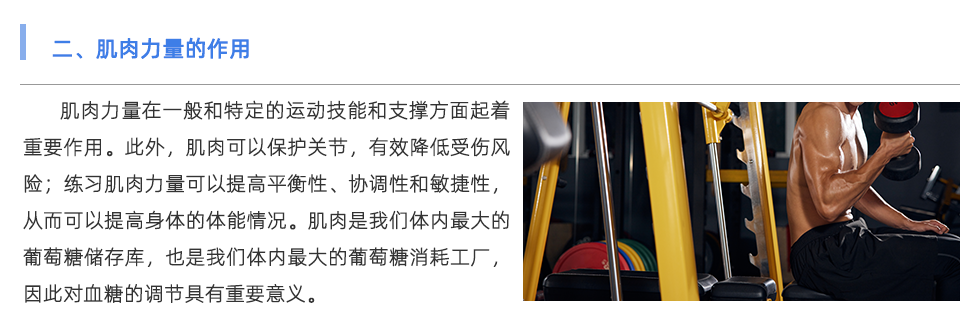 體能測(cè)試儀