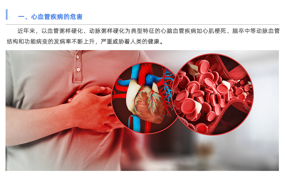 動(dòng)脈硬化檢測(cè)儀