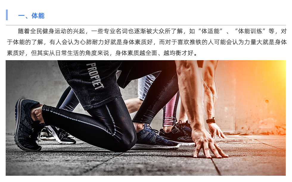 體能測(cè)試儀