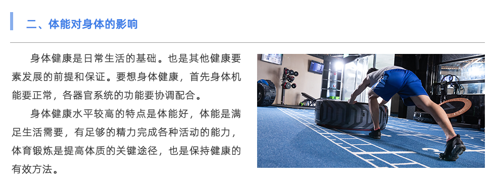 體能測(cè)試儀