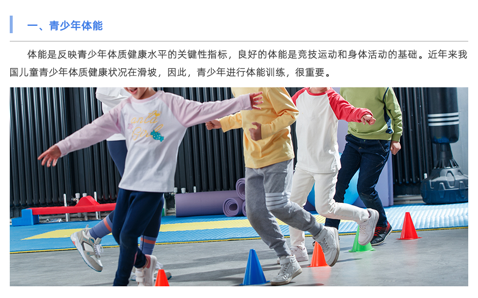 體能檢測(cè)儀