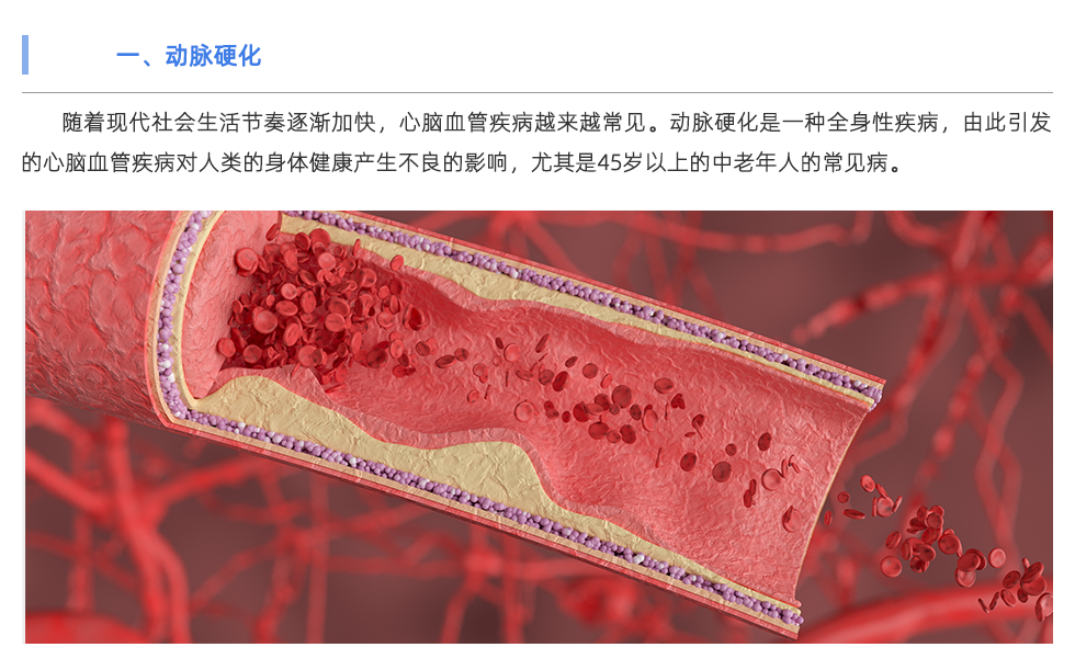 脈搏波速測定儀