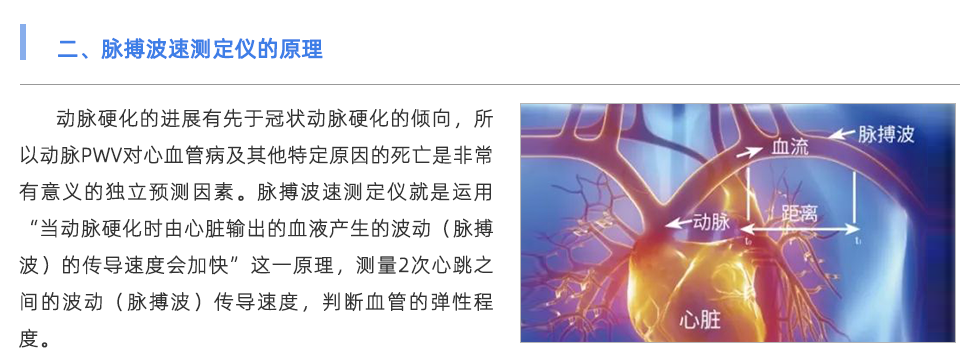 脈搏波速測(cè)定儀