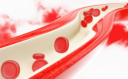 動(dòng)脈硬化檢測儀