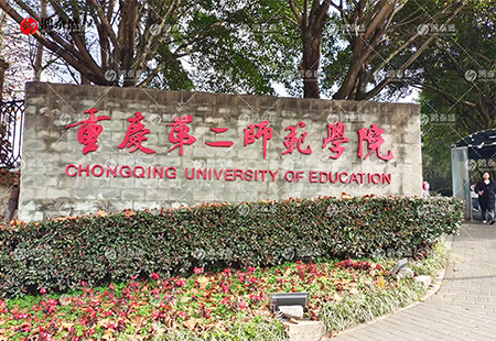 體能測(cè)試儀