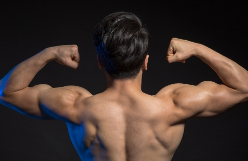 體適能測(cè)試儀