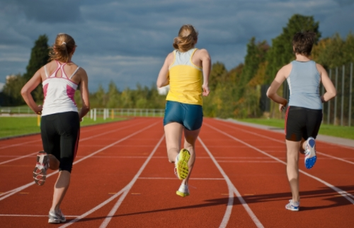 體適能測(cè)試儀