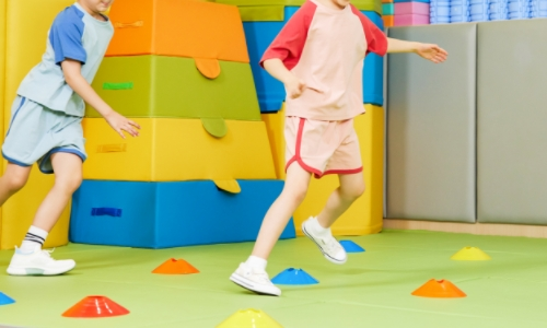 體適能測(cè)試儀