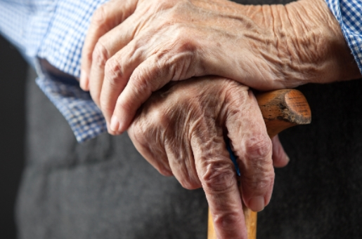 老年人肌少癥風(fēng)險(xiǎn)評估系統(tǒng)