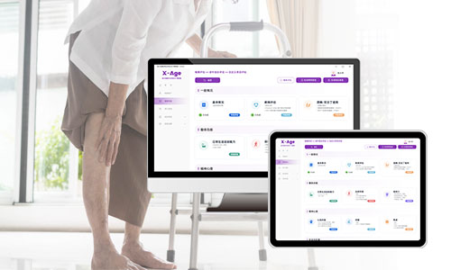 老年人綜合能力評(píng)估系統(tǒng)